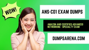 ANS-C01 Exam Dumps - Free Premium Exam Dumps 